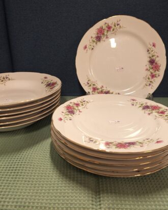 Kasutatud taldrikute komplekt.